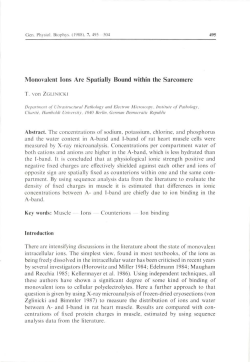 Monovalent Ions Are Spatially Bound within the Sarcomere