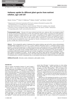 Antimony uptake by different plant species from