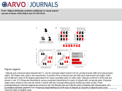 Slide - Journal of Vision