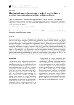The plantibody approach: expression of antibody genes in plants to