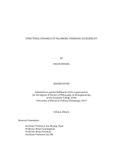 0_Dissertation_2013_12113c