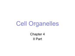 Chapter 4b