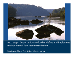 Next steps: Opportunities to further define and implement