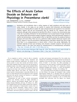 Physiology in Procambarus clarkii