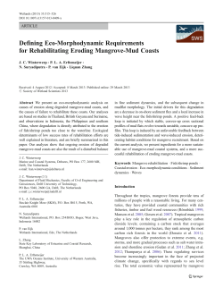 Defining Eco-Morphodynamic Requirements for