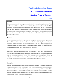 The Public Spending Code: E. Technical References Shadow Price