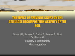 Cellulose decomposition in the soil treated with sunflower