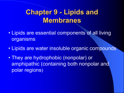 Lipids and Membranes