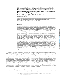 Biochemical Pathways ofApoptosis: Nicotinamide Adenine