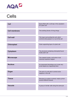 Loop card - examples