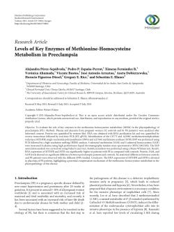 Levels of Key Enzymes of Methionine