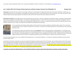 PLZ! - The Wild Foodies of Philly