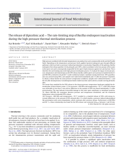 The release of dipicolinic acid &mdash; The rate