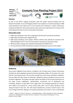 cromarty tree planting yr2- report