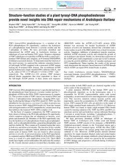 Structure&ndash;function studies of a plant tyrosyl
