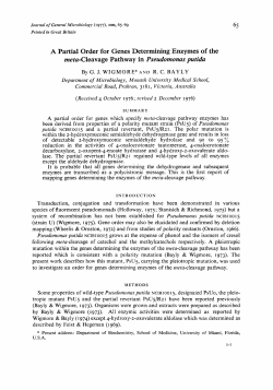 A Partial Order for Genes Determining Enzymes of
