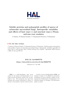 Soluble proteins and polypeptide profiles of spores of - HAL