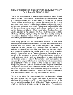 pdf file - Mother Earth Minerals