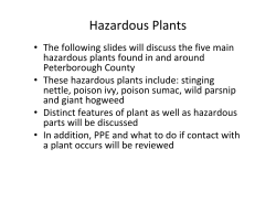 Hazardous Plants - Town of Laurentian Hills