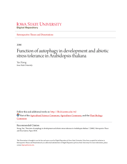 Function of autophagy in development and abiotic stress tolerance