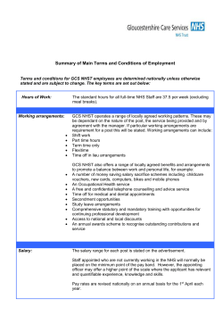 summary of main terms and conditions of employment
