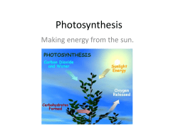Photosynthesis