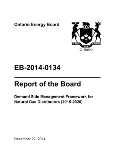 DSM Framework for Natural Gas Distributors