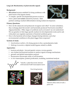 Long Lab: Biochemistry of plant