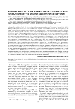 possible effects of elk harvest on fall distribution of grizzly