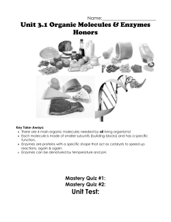 Unit 3.1 Biochem Guided Notes Honors