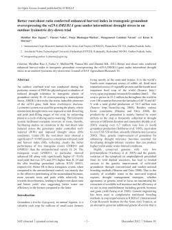 Better root:shoot ratio conferred enhanced harvest