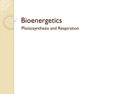Bioenergetics
