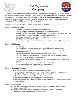 Updated Cell Organelles Campaign