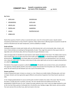 Key Terms photic zone intertidal zone phytoplankton neritic zone