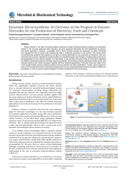 Enzymatic Electrosynthesis: An Overview on the Progress in