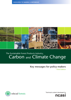Carbon and Climate Change - World Business Council For