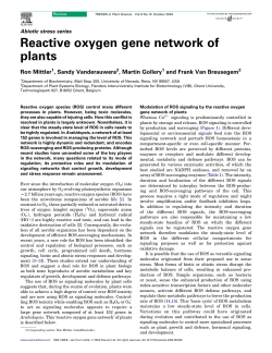 Reactive oxygen gene network of plants