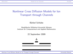 Nonlinear Cross Diffusion Models for Ion Transport through Channels