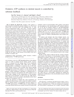 Oxidative ATP synthesis in skeletal muscle is controlled by substrate