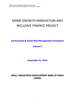 Environmental Risk Management Framework for MSME -IIF