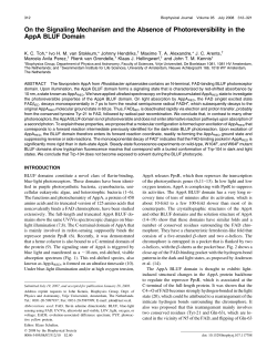 On the Signaling Mechanism and the Absence of Photoreversibility