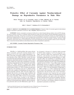Protective Effect of Curcumin Against Nicotine