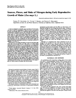 Growth of Maize (Zea mays L.)