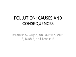 pollution: causes and effects
