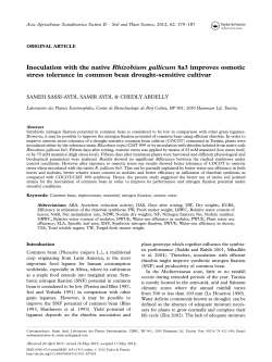 Inoculation with the native Rhizobium gallicum 8a3 improves