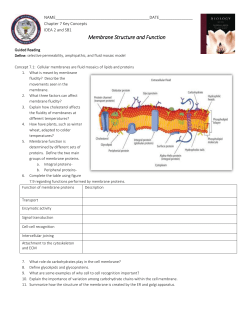File - Pedersen Science