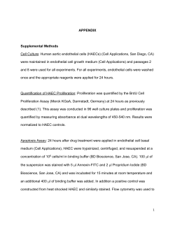 supplemental material