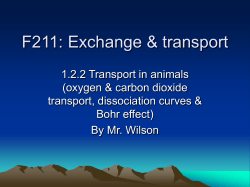 f211 exchange transport 1.2.2 transport in animals oxygen co2