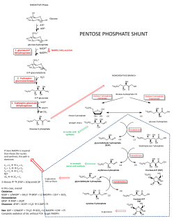 PENTOSE PHOSPHATE SHUNT