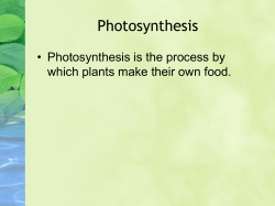 Plant Systems